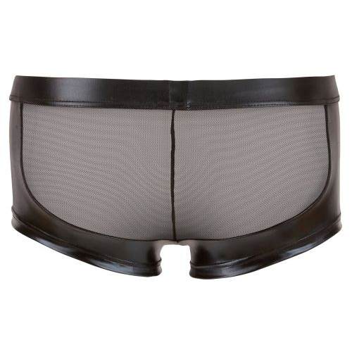 Wetlook-Net Pants with Zip - Image 6