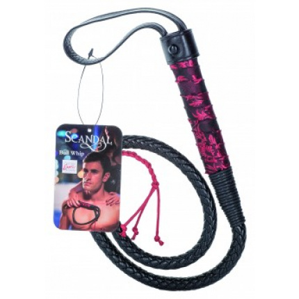 The Master's Whip