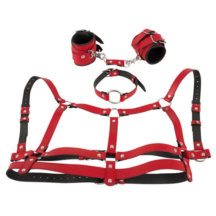 4-piece set Harness Set - Image 10