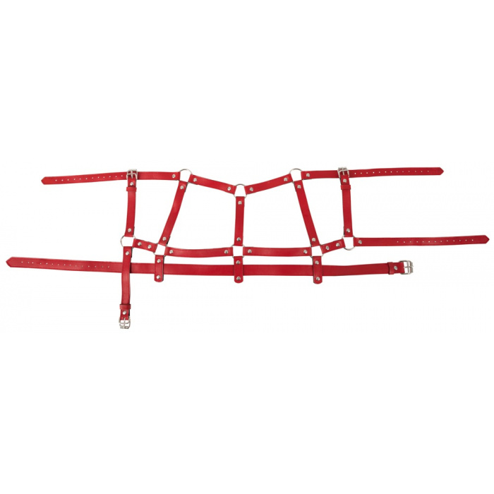 4-piece set Harness Set - Image 8