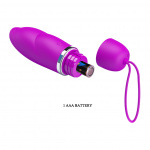 PRETTY LOVE PURPLE DESIRE SET - Image 17