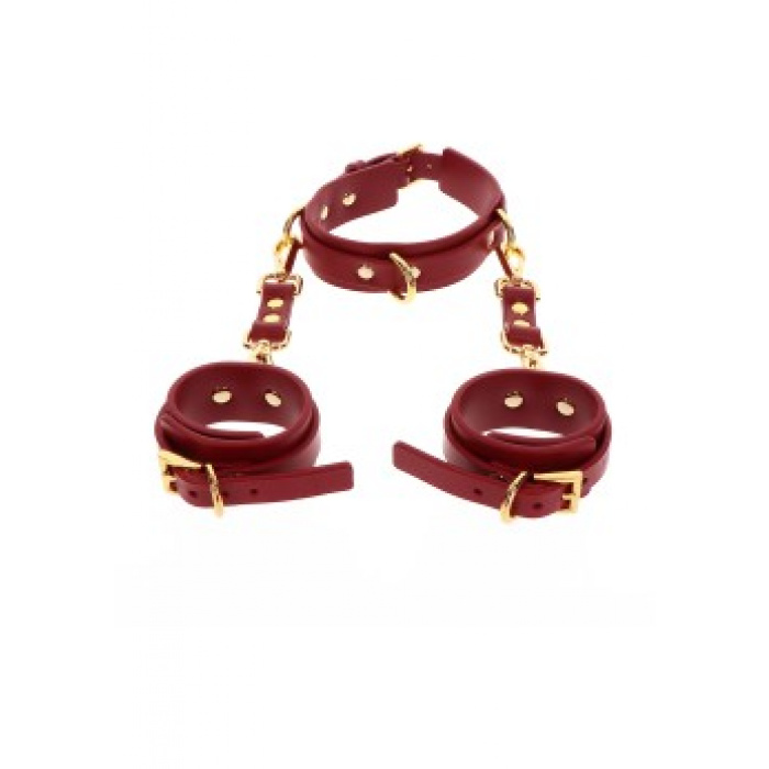 D-Ring Collar and Wrist Cuffs - Image 2