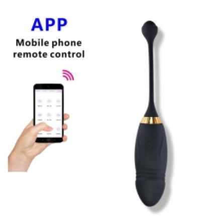 Επαναφορτιζόμενο αυγό με APP
