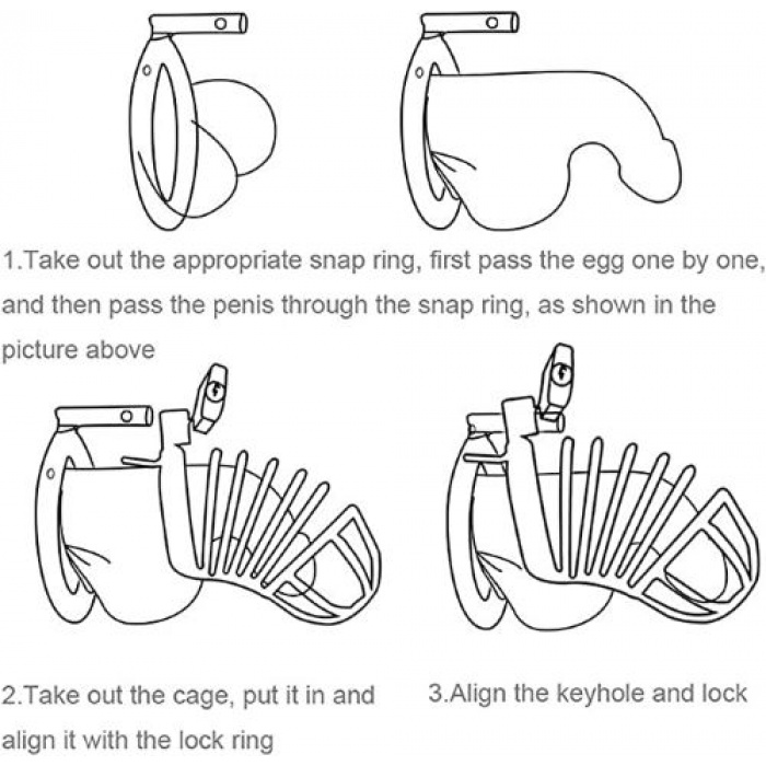 Steel Metal Cage with 3 Rings - Image 7