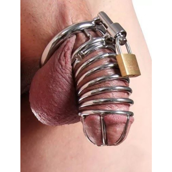 Steel Metal Cage with 3 Rings - Image 5